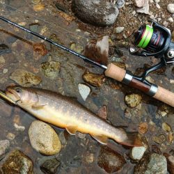 渇水→濁流 ～九頭竜川水系～